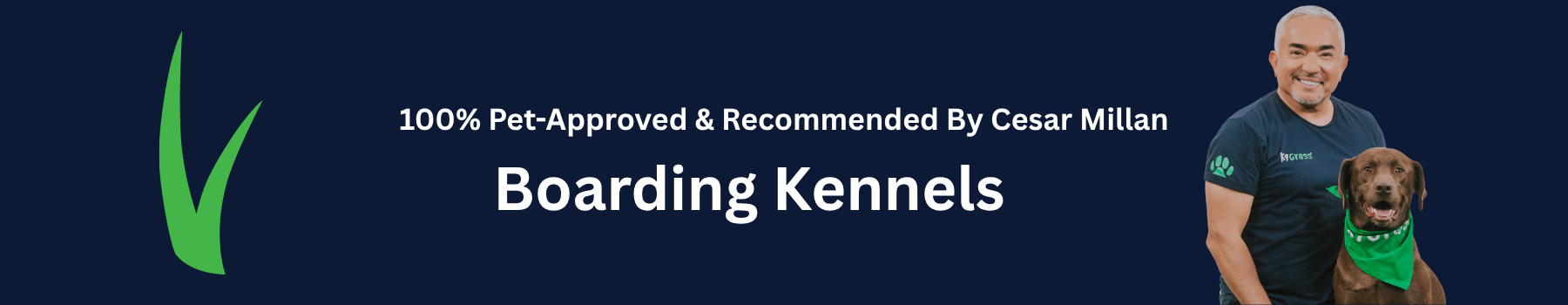 artificial grass Boarding Kennels